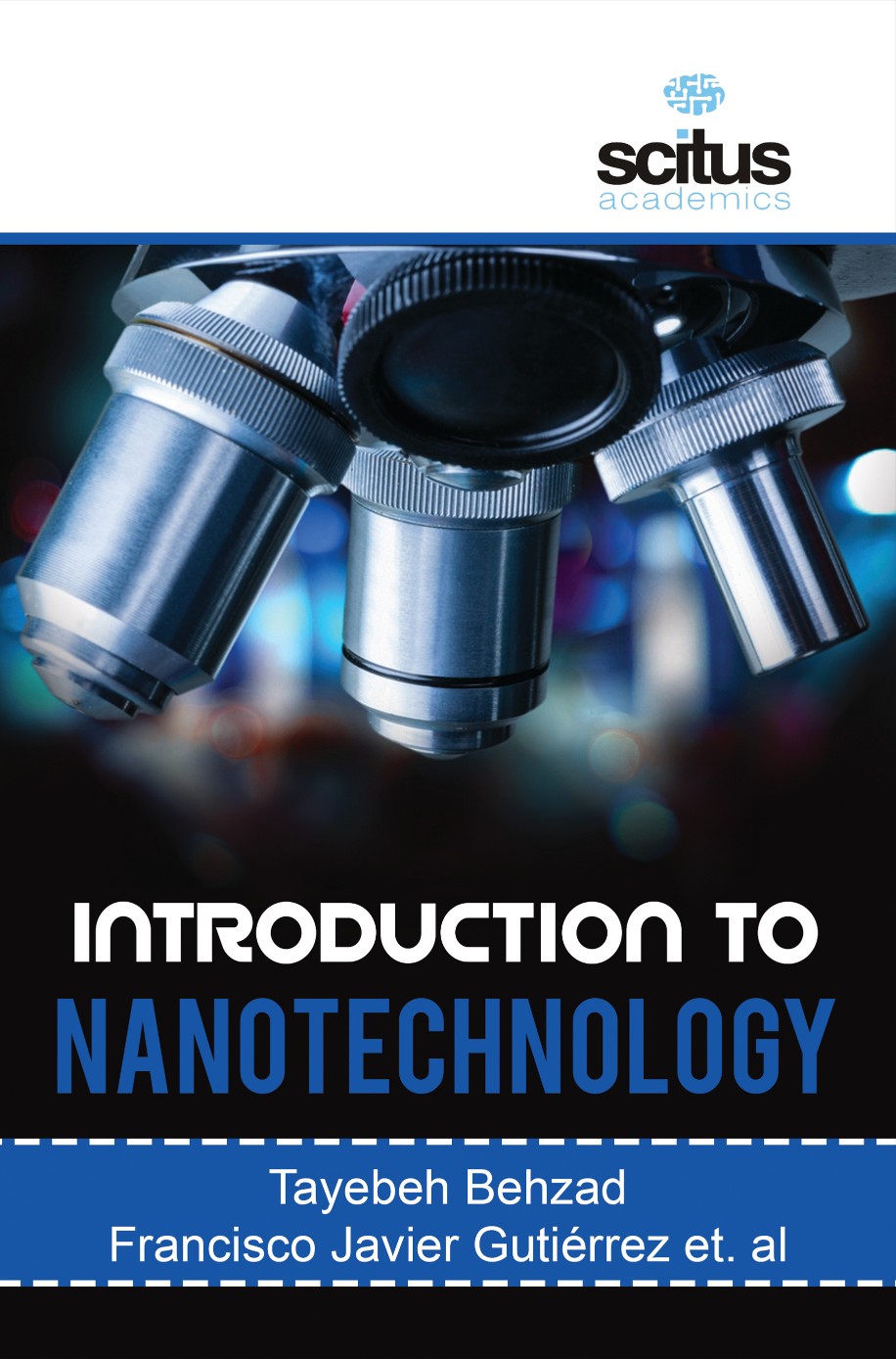 nanotechnology introduction essay